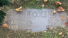 Img: Hoxie, Allan K