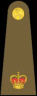 Army Rank - Major