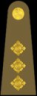 Army Rank Captain