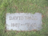 Img: Wall, David