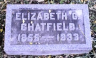 Elizabeth E GOULD 1855-1933 grave