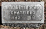 Ann Jeanette DOWNS 1842-1914 grave